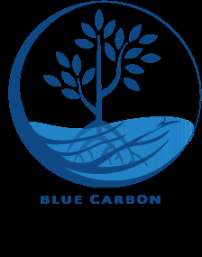Blue Carbon Exchange logo